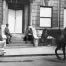 Jill_Freedman_Fang_6