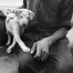 Jill_Freedman_Fang_7