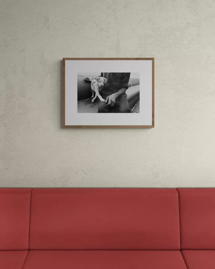 Jill_Freedman_Fang_7-b