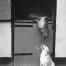 Jill_Freedman_Fang_8