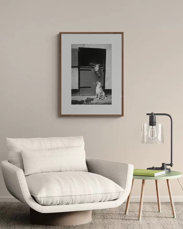 Jill_Freedman_Fang_8-b