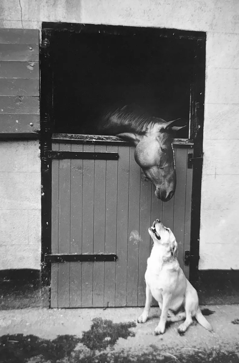 Jill_Freedman_Fang_8