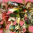 Carol_Bouyoucos_Pink_Shrooms