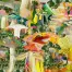 Carol_Bouyoucos_Sunny_Shrooms