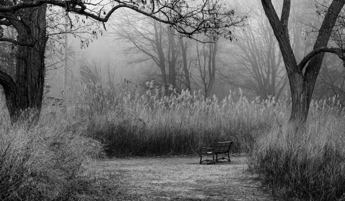 Alison_Rodilosso_Moment_For_Contemplation