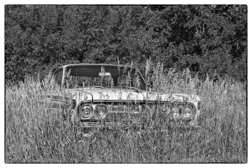 Tad_Philipp_Crouching_Comet